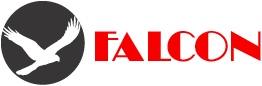 falconsmall.gif